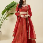 Burnt Orange Tissue Lehenga Set