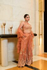Women's Peach Orange Embroidered Crop Top with Palazzo & Organza Dupatta 3-Piece Co-Ord Set - Image 2