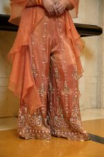 Women's Peach Orange Embroidered Crop Top with Palazzo & Organza Dupatta 3-Piece Co-Ord Set - Image 5